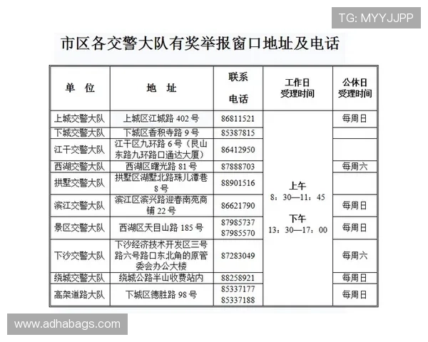 wm真人游戏的奖金制度公平可靠吗，中奖率与返利机制全面解析