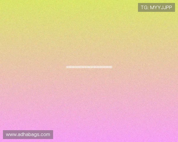 乐鱼在线官网登录入口手机版助力用户畅享世界杯精彩赛事全方位报道